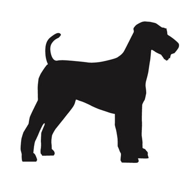 Welsh Terrier Silhouette
