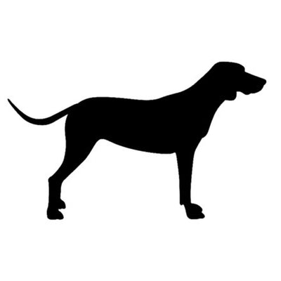 American English Coonhound Silhouette