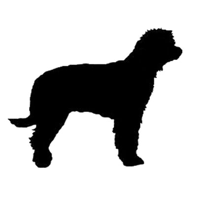 Aussiedoodle Silhouette