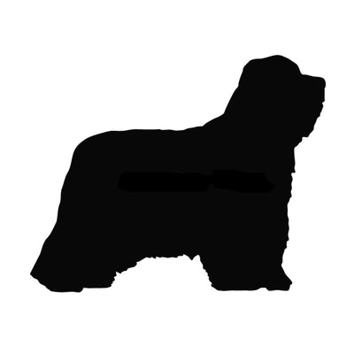 Bearded Collie Silhouette