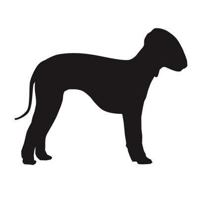 Bedlington Terrier Silhouette