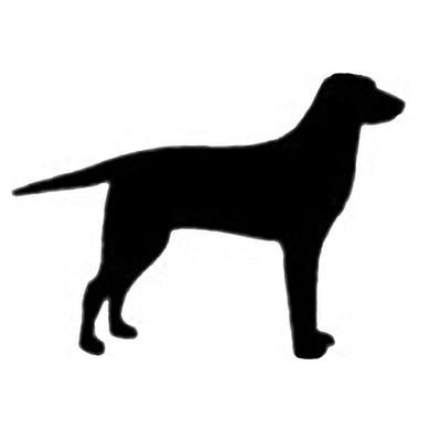 Curly-Coated Retriever Silhouette