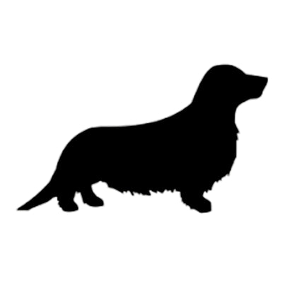 Longhaired Dachshund Silhouette
