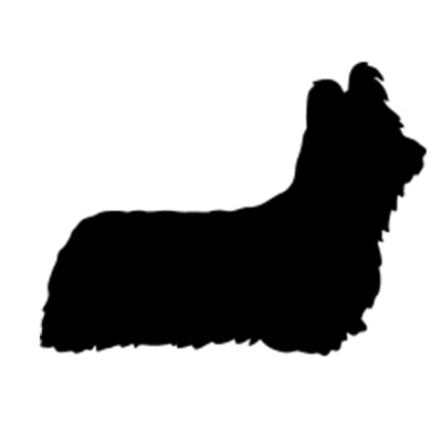 Skye Terrier Silhouette