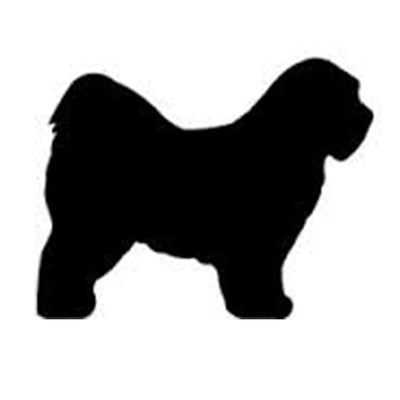 Tibetan Terrier (short haired) Silhouette