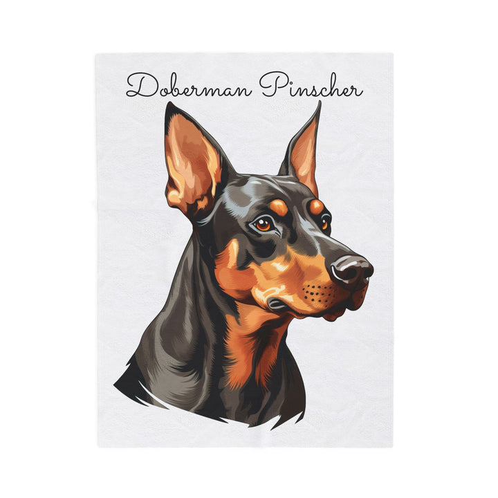 Doberman Pinscher Velveteen Plush Blanket with White Background - 3 Sizes available cozy throw dog lover - Pet mom gift