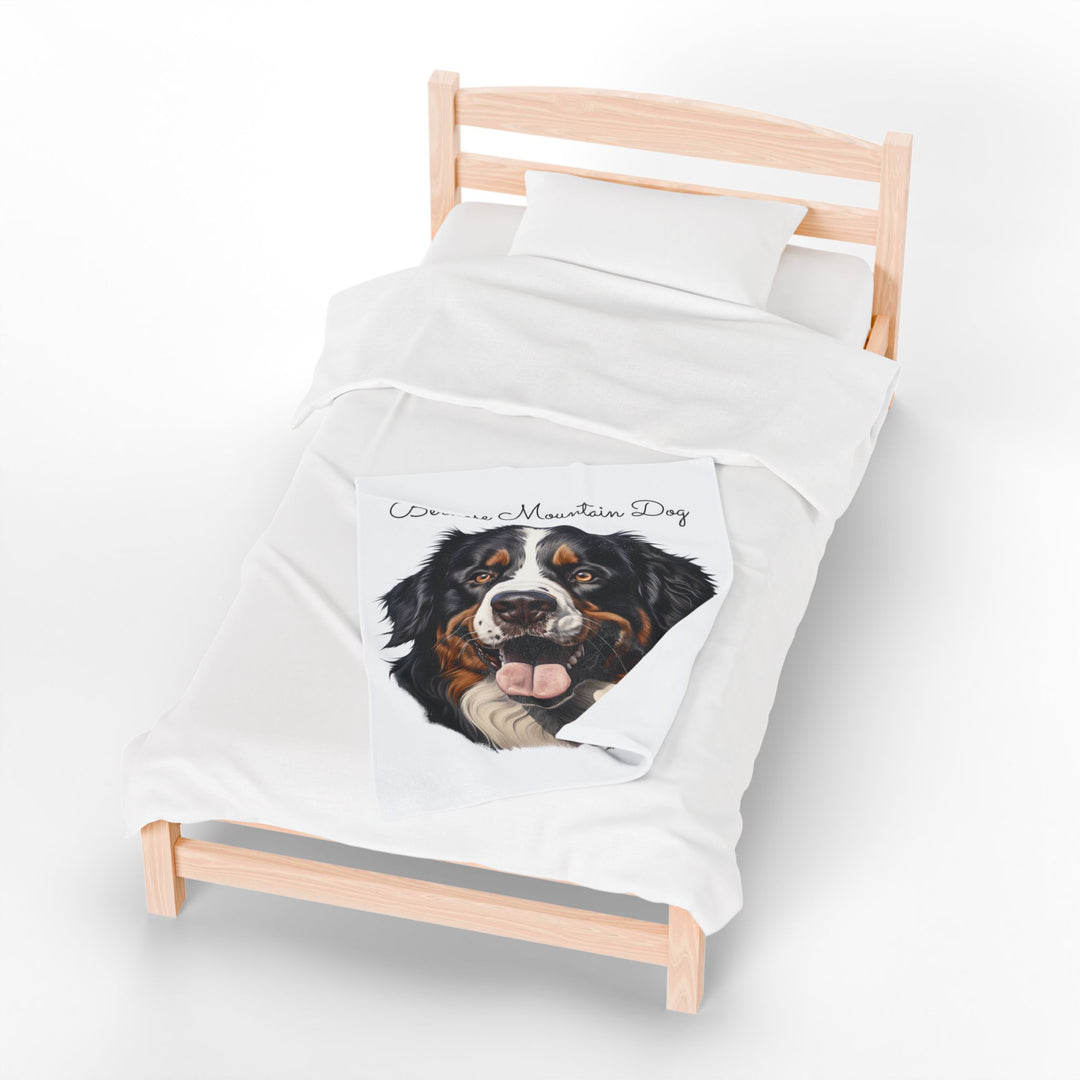 Bernese Mountain Dog Velveteen Plush Blanket with White Background - 3 Sizes available cozy throw dog lover - Pet mom gift