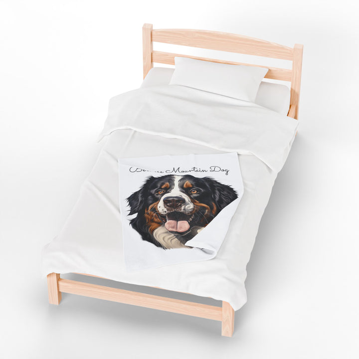 Bernese Mountain Dog Velveteen Plush Blanket with White Background - 3 Sizes available cozy throw dog lover - Pet mom gift
