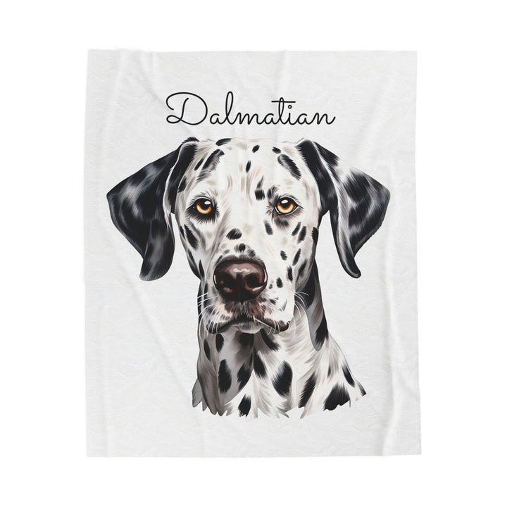 Dalmatian Velveteen Plush Blanket with White Background - 3 Sizes available cozy throw dog lover - Pet mom gift