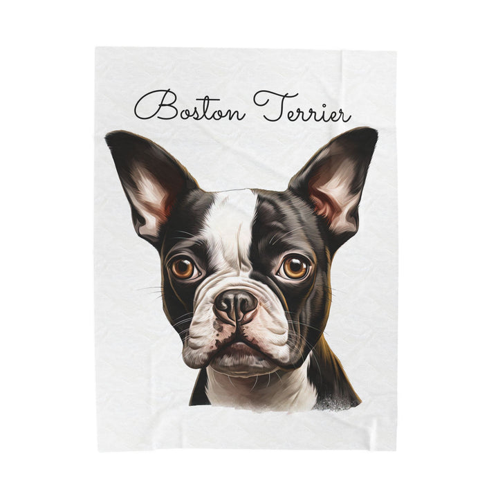 Boston Terrier Velveteen Plush Blanket with White Background - 3 Sizes available cozy throw dog lover - Pet mom gift