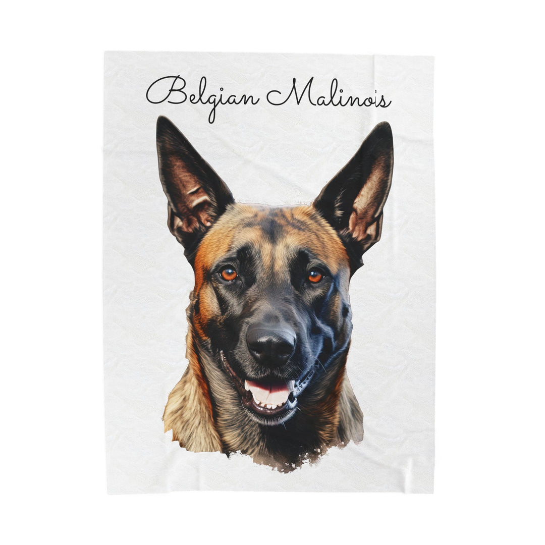 Belgian Malinois Velveteen Plush Blanket with White Background - 3 Sizes available cozy throw dog lover - Pet mom gift