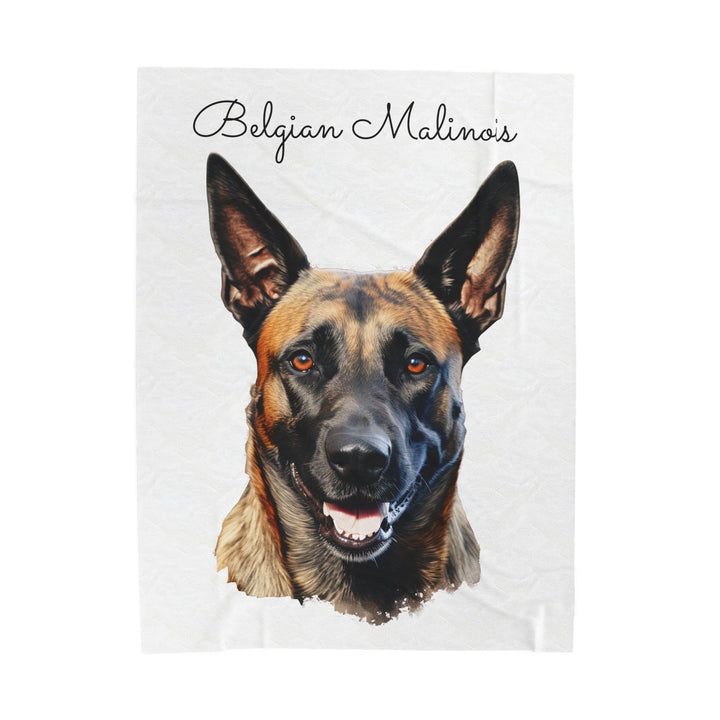 Belgian Malinois Velveteen Plush Blanket with White Background - 3 Sizes available cozy throw dog lover - Pet mom gift