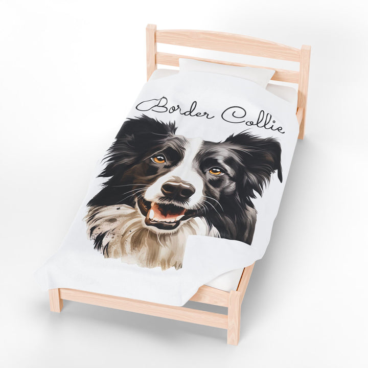 Border Collie Velveteen Plush Blanket with White Background - 3 Sizes available cozy throw dog lover - Pet mom gift