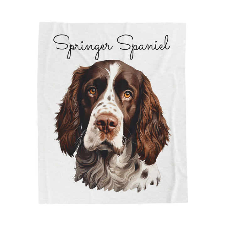 Springer Spaniel Velveteen Plush Blanket with White Background - 3 Sizes available cozy throw dog lover - Pet mom gift