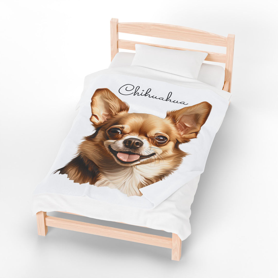 Chihuahua Velveteen Plush Blanket with White Background - 3 Sizes available cozy throw dog lover - Fawn Gold Smooth Coat Chihuahua