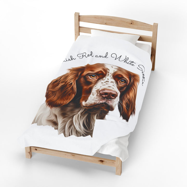 Irish Red and White Setter Portrait Velveteen Plush Blanket