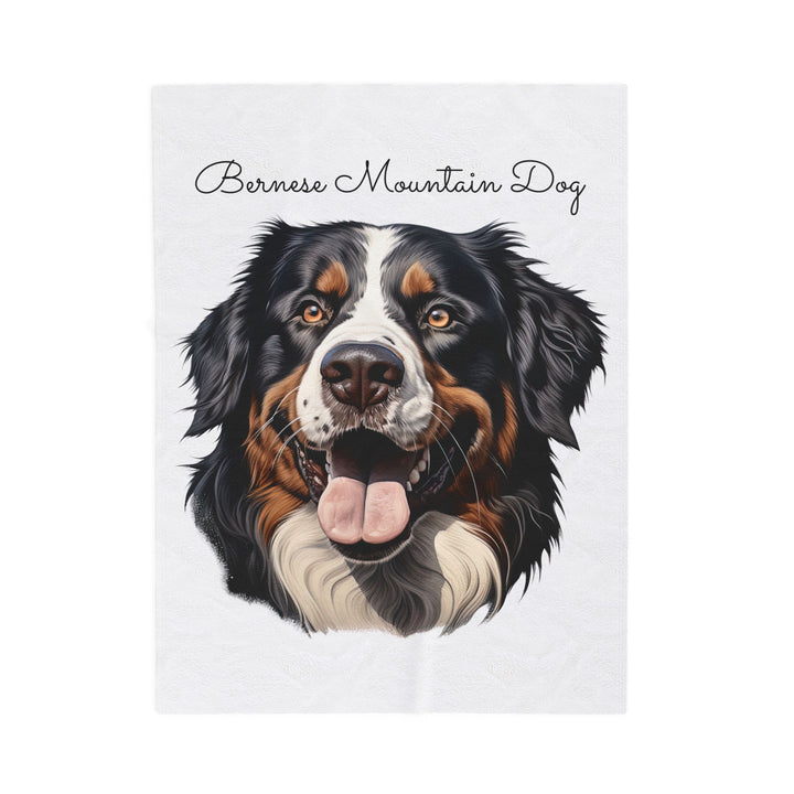 Bernese Mountain Dog Velveteen Plush Blanket with White Background - 3 Sizes available cozy throw dog lover - Pet mom gift