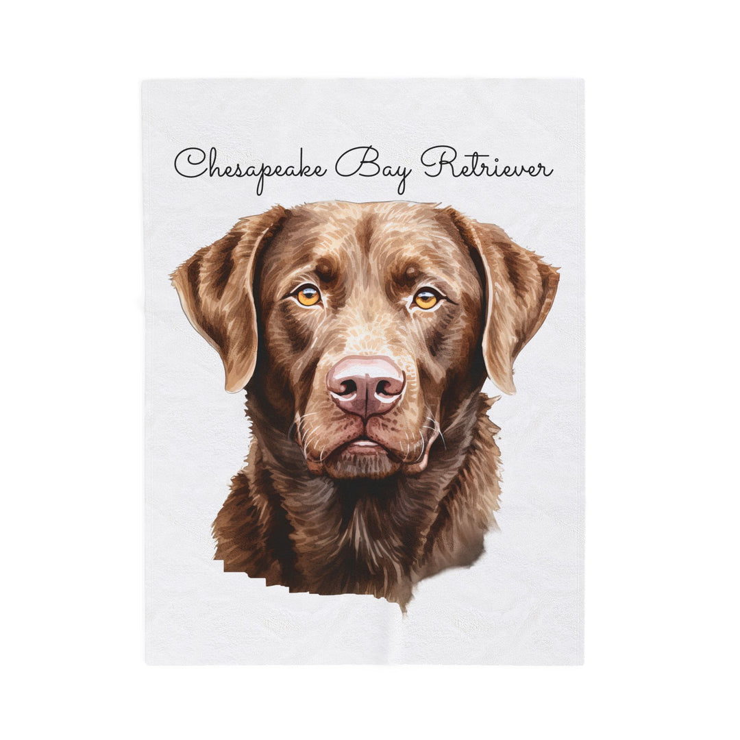 Chesapeake Bay Retriever Velveteen Plush Blanket with White Background - 3 Sizes available cozy throw dog lover - Pet mom gift
