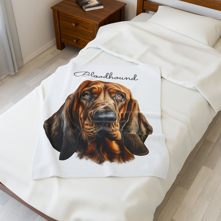 Bloodhound Velveteen Plush Blanket with White Background - 3 Sizes available cozy throw dog lover - Pet mom gift