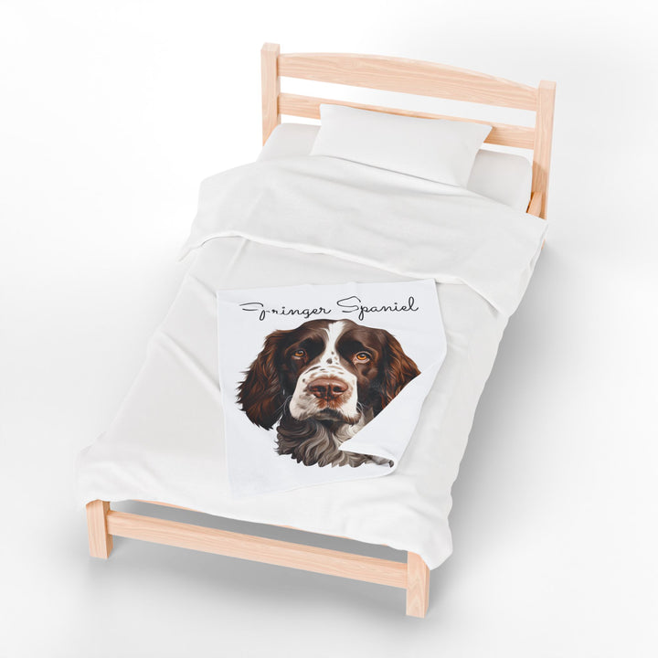 Springer Spaniel Velveteen Plush Blanket with White Background - 3 Sizes available cozy throw dog lover - Pet mom gift