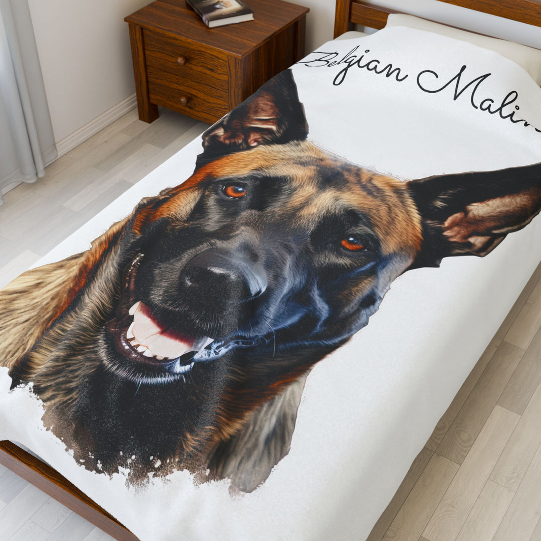 Belgian Malinois Velveteen Plush Blanket with White Background - 3 Sizes available cozy throw dog lover - Pet mom gift