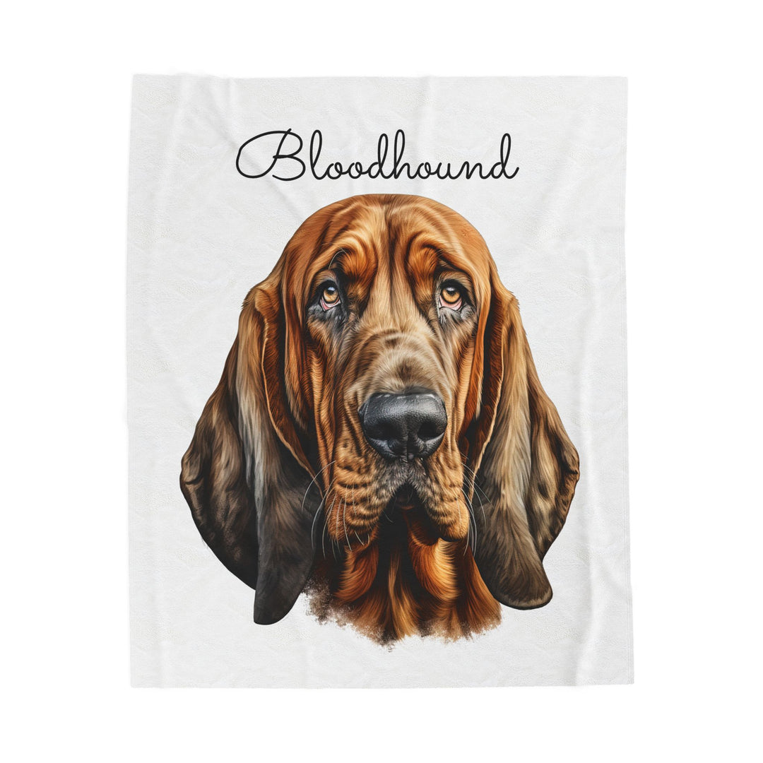 Bloodhound Velveteen Plush Blanket with White Background - 3 Sizes available cozy throw dog lover - Pet mom gift