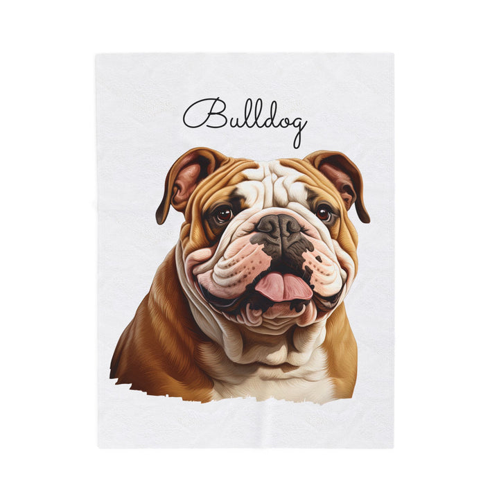 Bulldog Velveteen Plush Blanket with White Background - 3 Sizes available cozy throw dog lover - Pet mom gift