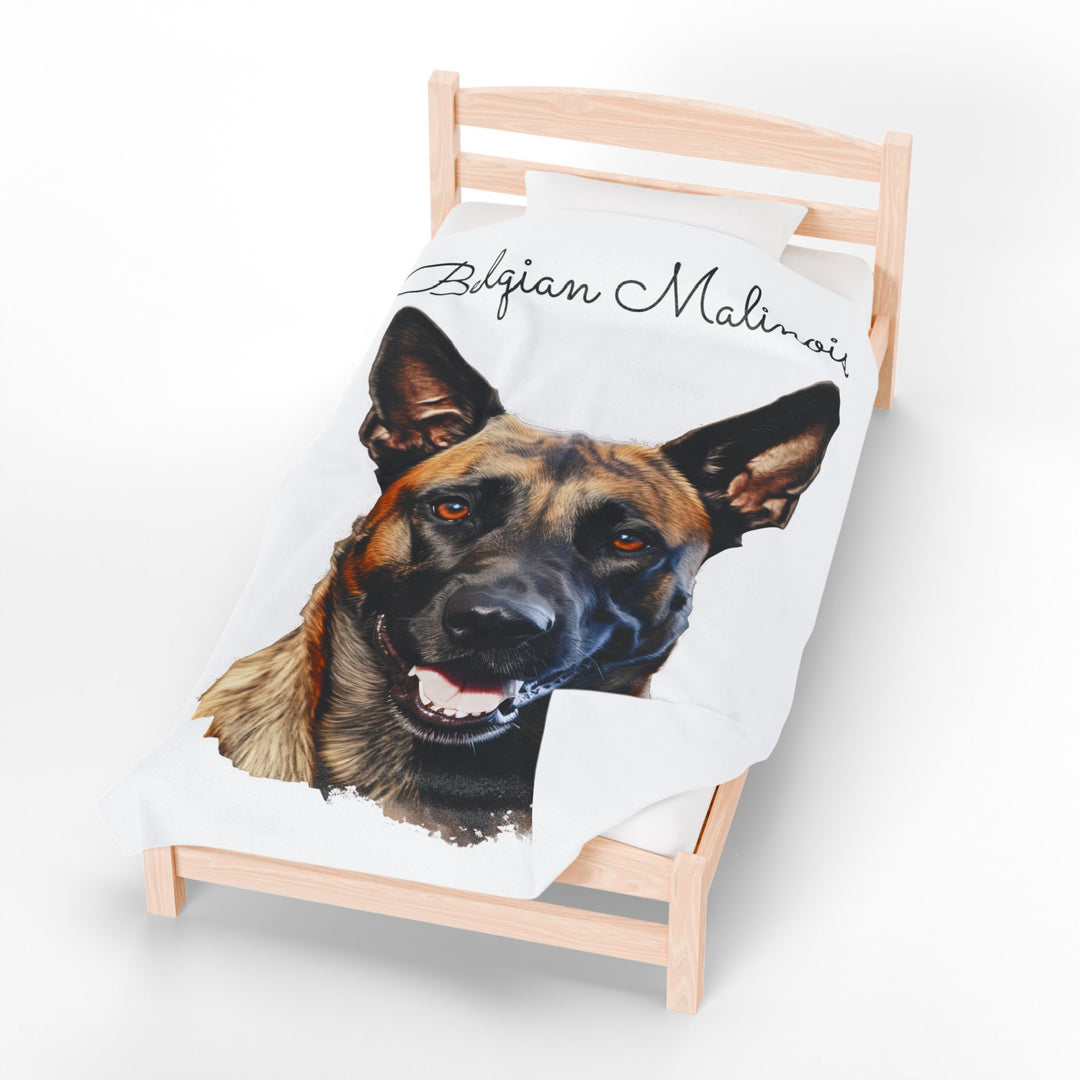 Belgian Malinois Velveteen Plush Blanket with White Background - 3 Sizes available cozy throw dog lover - Pet mom gift