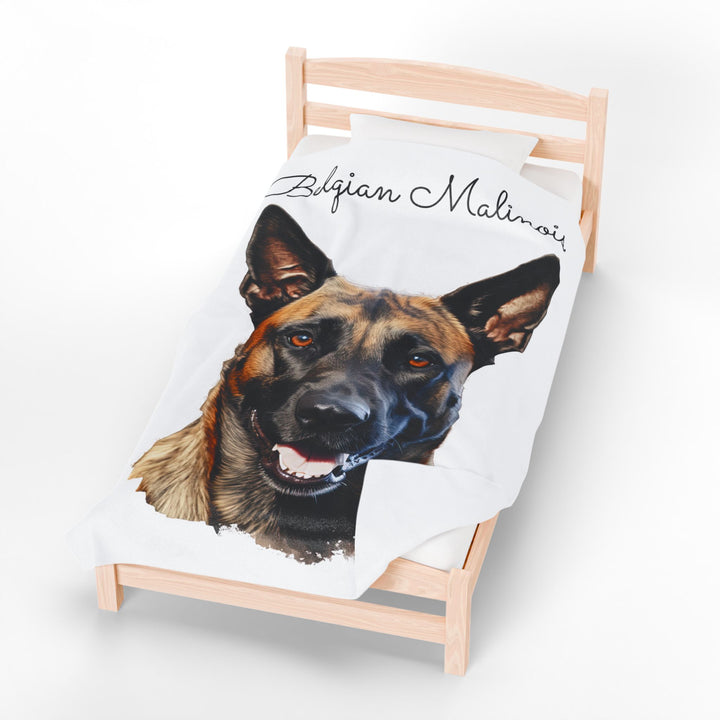 Belgian Malinois Velveteen Plush Blanket with White Background - 3 Sizes available cozy throw dog lover - Pet mom gift