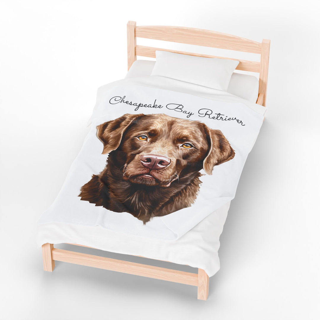 Chesapeake Bay Retriever Velveteen Plush Blanket with White Background - 3 Sizes available cozy throw dog lover - Pet mom gift