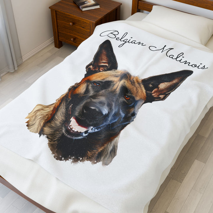Belgian Malinois Velveteen Plush Blanket with White Background - 3 Sizes available cozy throw dog lover - Pet mom gift