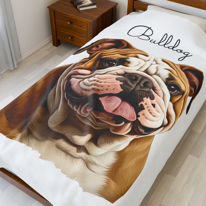 Bulldog Velveteen Plush Blanket with White Background - 3 Sizes available cozy throw dog lover - Pet mom gift
