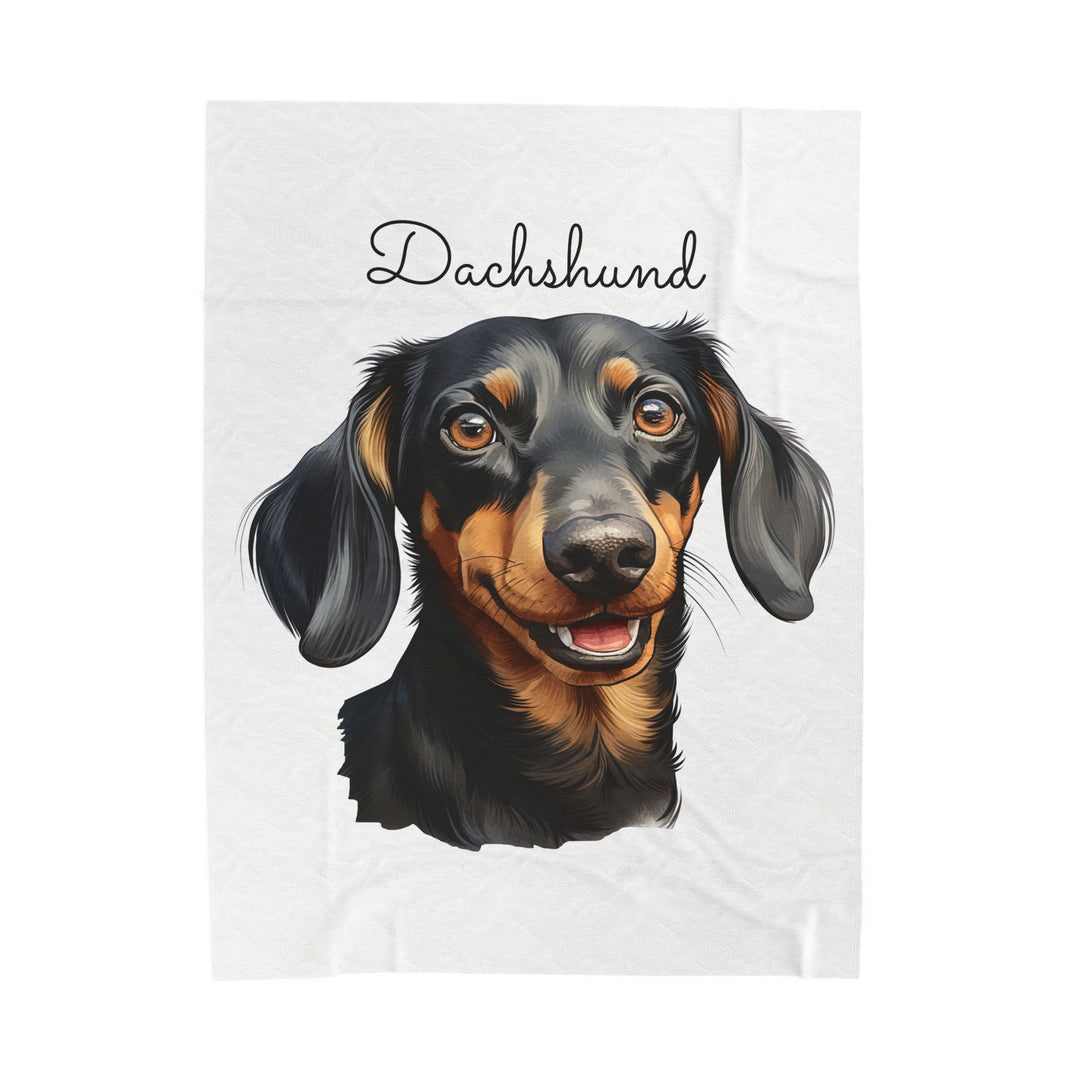 Dachshund Velveteen Plush Blanket with White Background - 3 Sizes available cozy throw dog lover - Smooth Dachshund