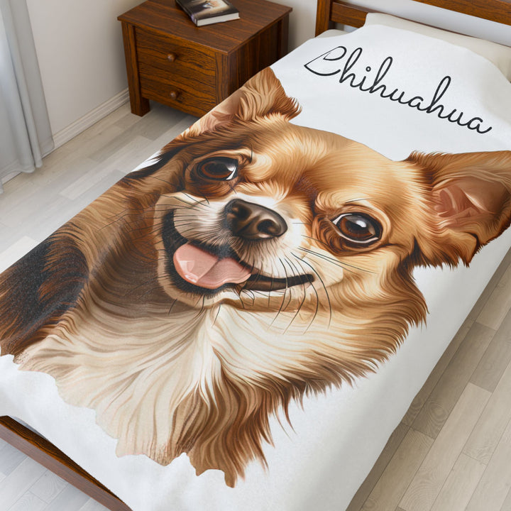 Chihuahua Velveteen Plush Blanket with White Background - 3 Sizes available cozy throw dog lover - Fawn Gold Smooth Coat Chihuahua
