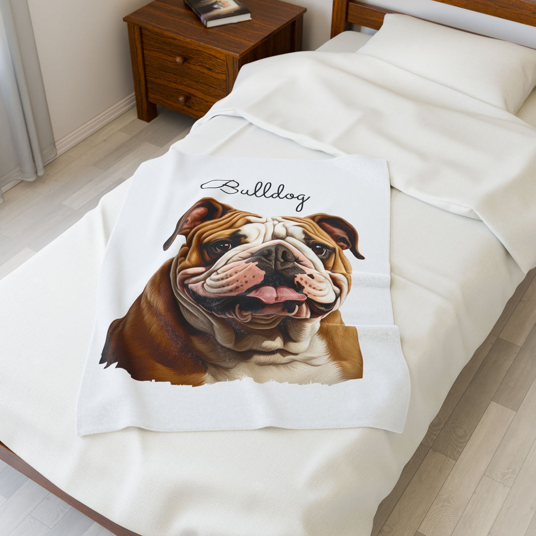 Bulldog Velveteen Plush Blanket with White Background - 3 Sizes available cozy throw dog lover - Pet mom gift