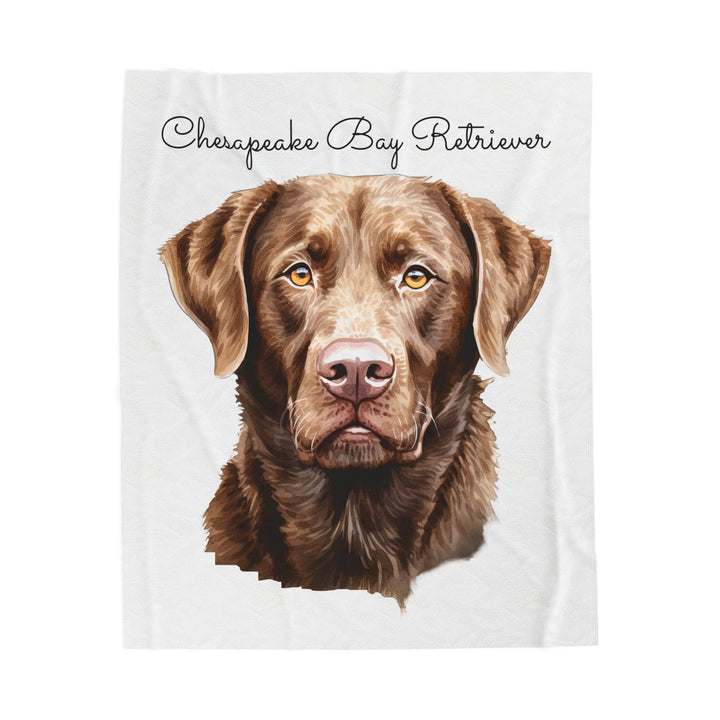 Chesapeake Bay Retriever Velveteen Plush Blanket with White Background - 3 Sizes available cozy throw dog lover - Pet mom gift