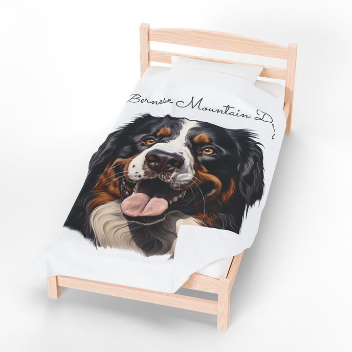 Bernese Mountain Dog Velveteen Plush Blanket with White Background - 3 Sizes available cozy throw dog lover - Pet mom gift