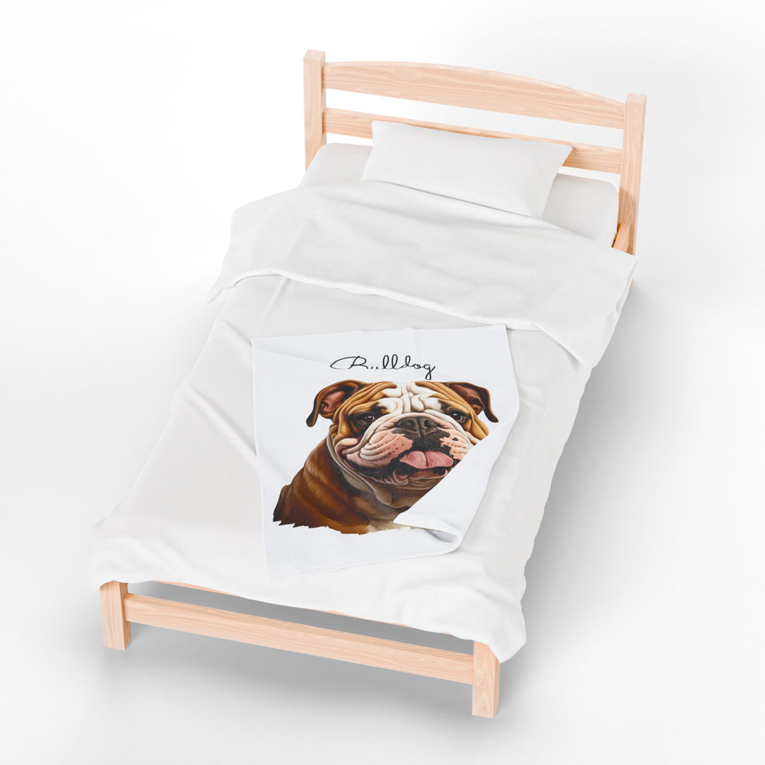 Bulldog Velveteen Plush Blanket with White Background - 3 Sizes available cozy throw dog lover - Pet mom gift