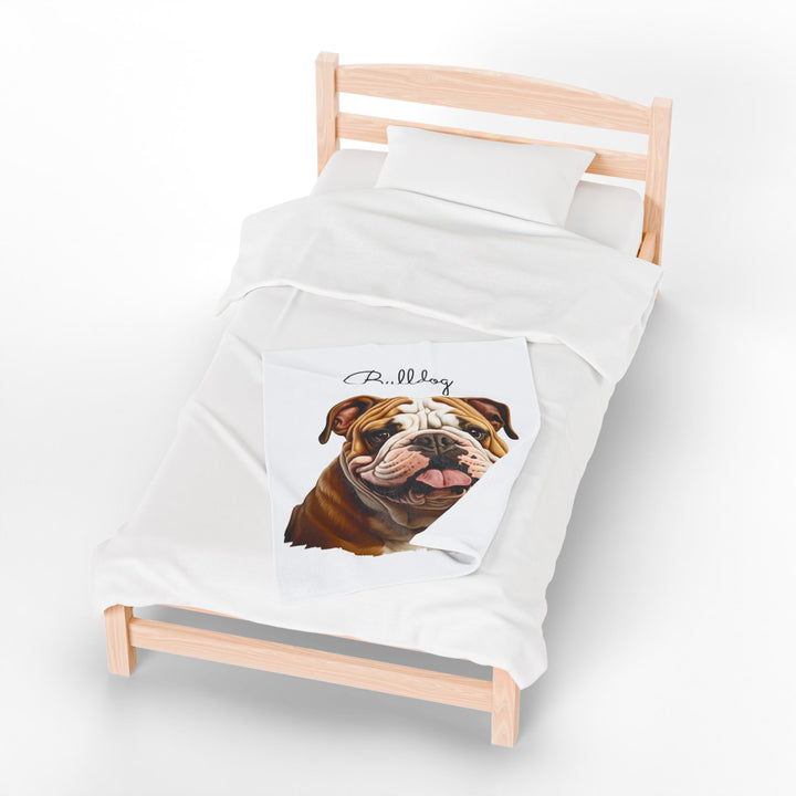 Bulldog Velveteen Plush Blanket with White Background - 3 Sizes available cozy throw dog lover - Pet mom gift
