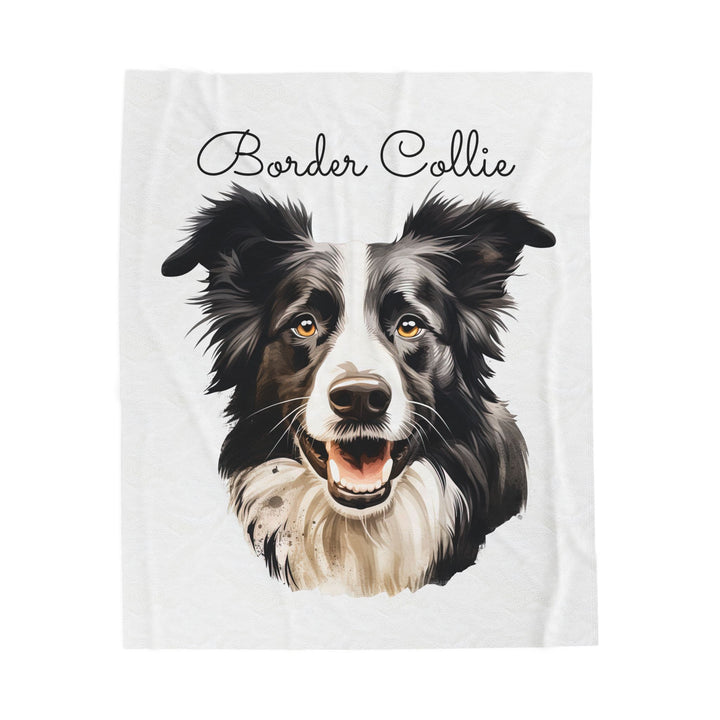 Border Collie Velveteen Plush Blanket with White Background - 3 Sizes available cozy throw dog lover - Pet mom gift