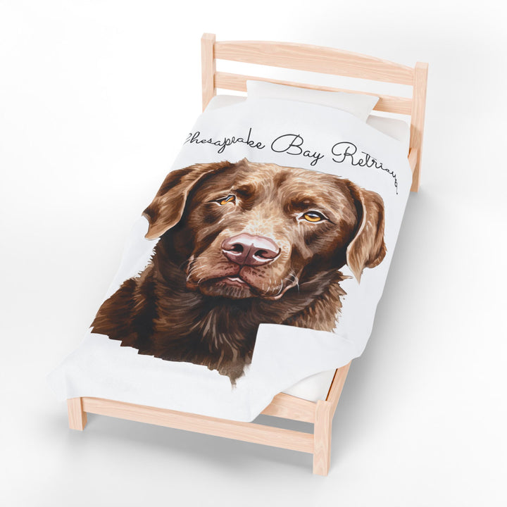 Chesapeake Bay Retriever Velveteen Plush Blanket with White Background - 3 Sizes available cozy throw dog lover - Pet mom gift