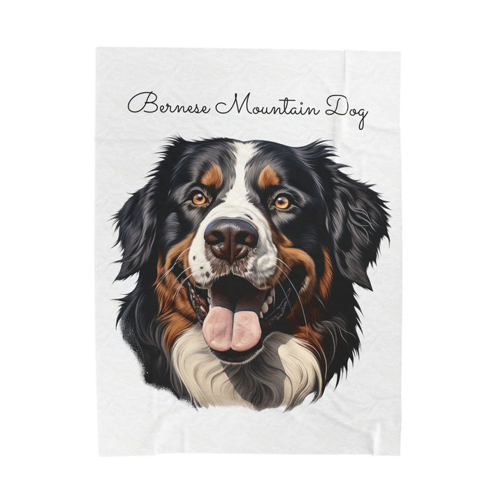 Bernese Mountain Dog Velveteen Plush Blanket with White Background - 3 Sizes available cozy throw dog lover - Pet mom gift