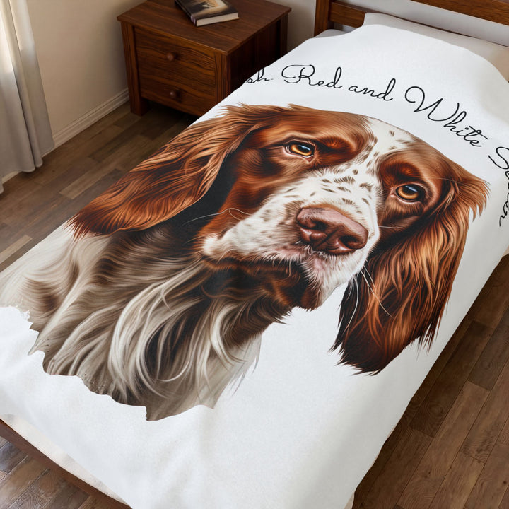 Irish Red and White Setter Portrait Velveteen Plush Blanket