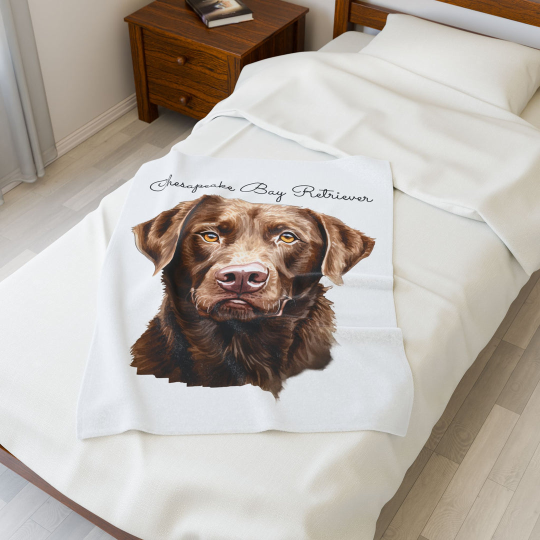 Chesapeake Bay Retriever Velveteen Plush Blanket with White Background - 3 Sizes available cozy throw dog lover - Pet mom gift