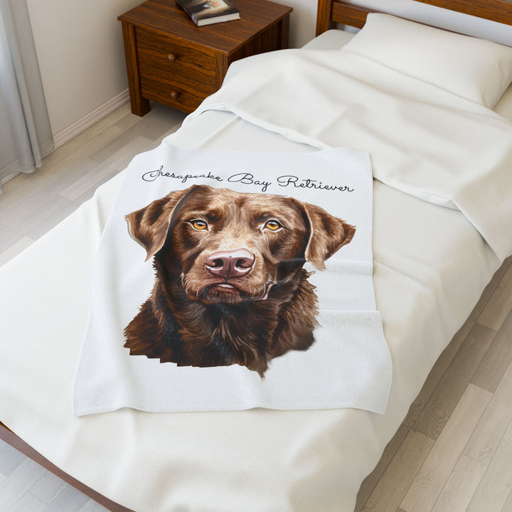 Chesapeake Bay Retriever Velveteen Plush Blanket with White Background - 3 Sizes available cozy throw dog lover - Pet mom gift