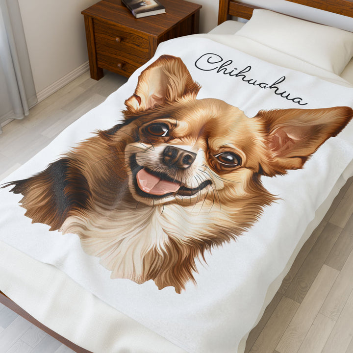 Chihuahua Velveteen Plush Blanket with White Background - 3 Sizes available cozy throw dog lover - Fawn Gold Smooth Coat Chihuahua