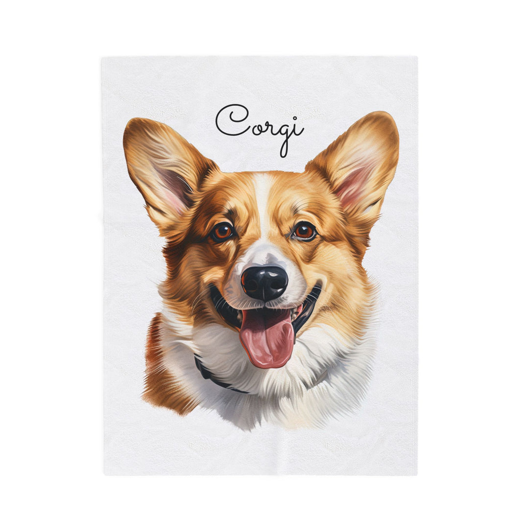 Corgi Velveteen Plush Blanket with White Background - 3 Sizes available cozy throw dog lover - Pet mom gift - Pembroke Welsh Corgi