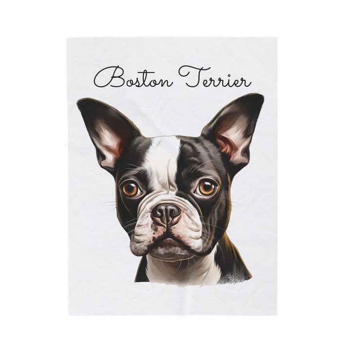 Boston Terrier Velveteen Plush Blanket with White Background - 3 Sizes available cozy throw dog lover - Pet mom gift