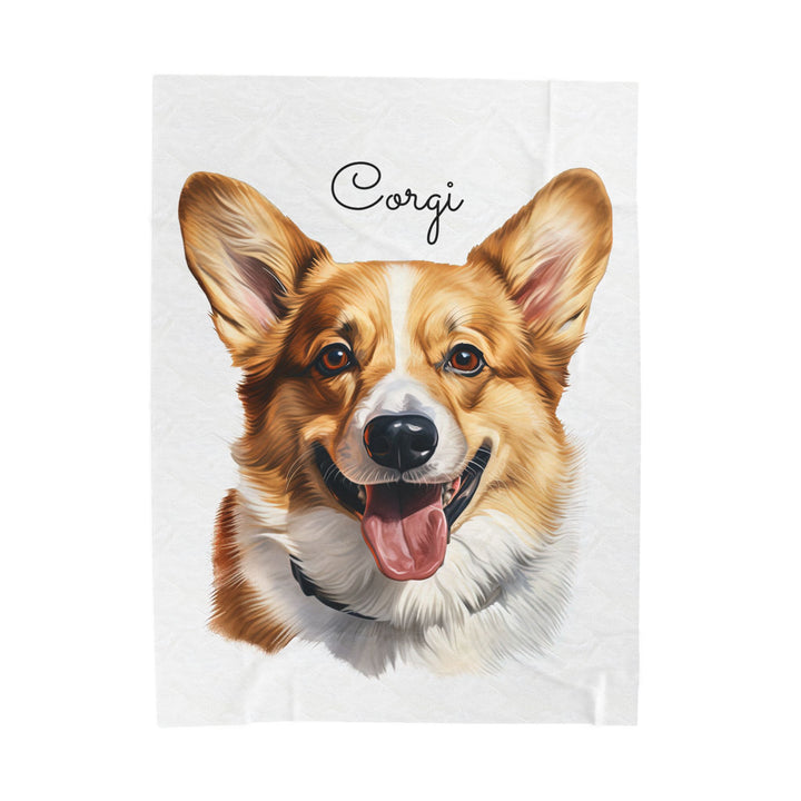 Corgi Velveteen Plush Blanket with White Background - 3 Sizes available cozy throw dog lover - Pet mom gift - Pembroke Welsh Corgi