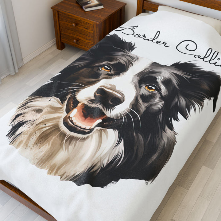 Border Collie Velveteen Plush Blanket with White Background - 3 Sizes available cozy throw dog lover - Pet mom gift